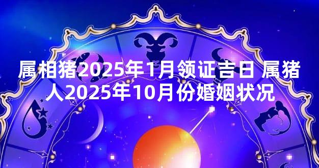 属相猪2025年1月领证吉日 属猪人2025年10月份婚姻状况